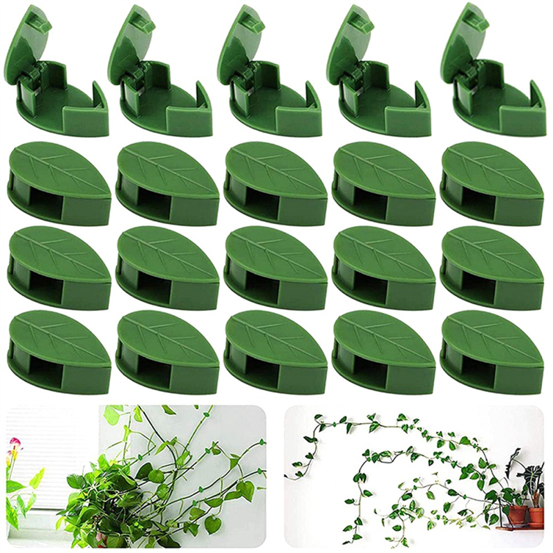 PLANT CLIMBING CLIPS (PACK OF 30)